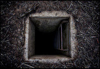 going underground