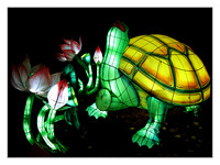 Chinese lanterns