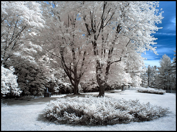 Mackenzie King estate