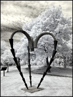 have heart