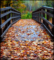 walkway