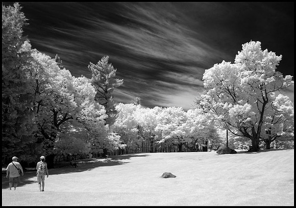 Mackenzie King estate