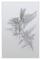 crystals