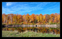 Fall at the quarry