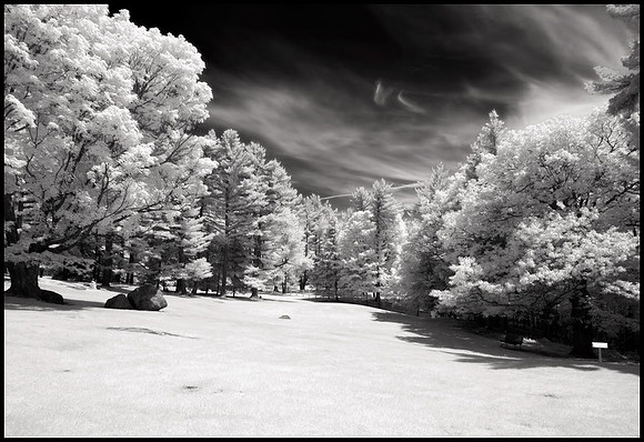 Mackenzie King estate