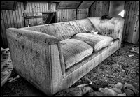 the living room