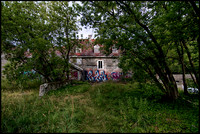 the yard