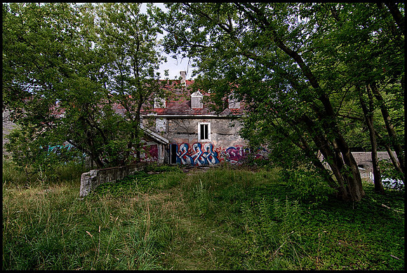 the yard